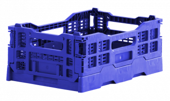 Minibox Klappkiste klein Marketingkiste Mandarinen Pilze Spargel